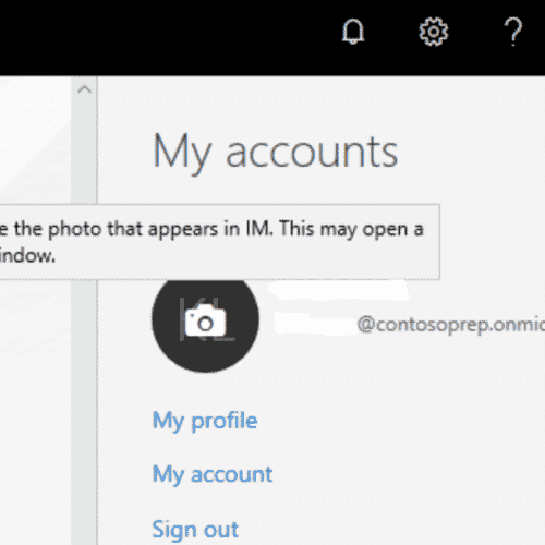 Microsoft 365 Profile Picture